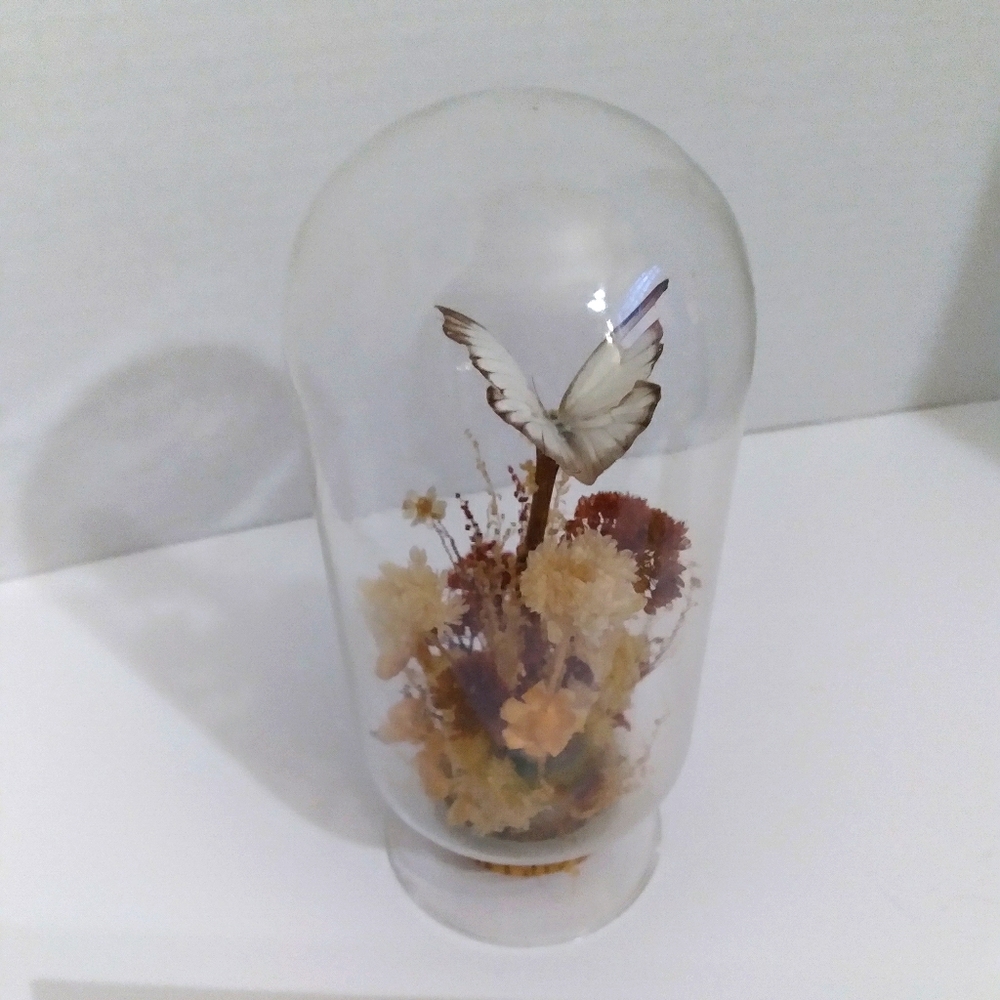 VTG Butterfly + Floral Terrarium Display
